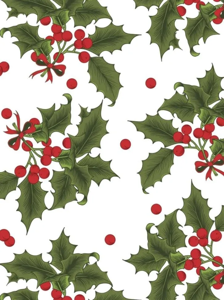 Holiday Print Classic Robe