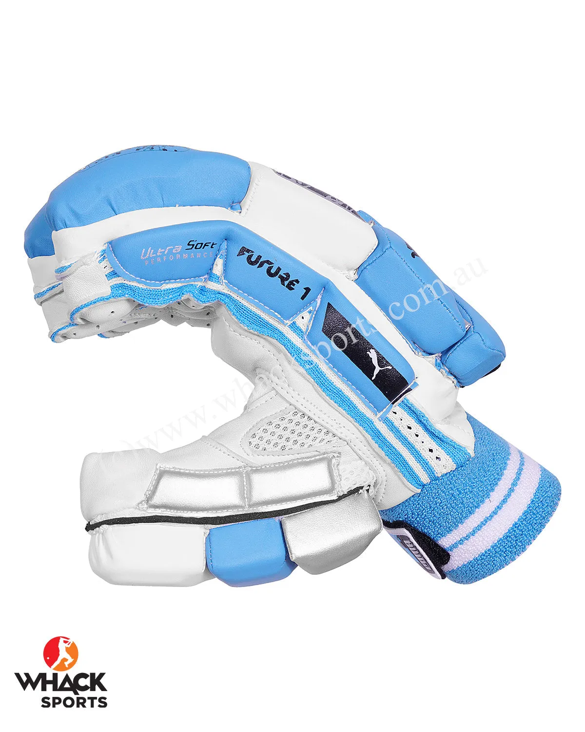 Puma Future 1 Cricket Batting Gloves - Adult