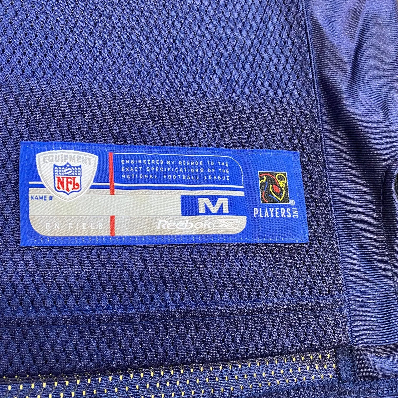 Vintage Tennesse Titans Vince Young Jersey
